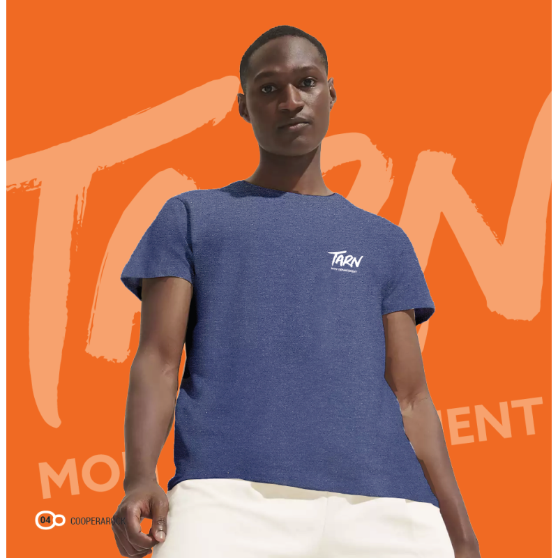 TEE SHIRT couleur - homme